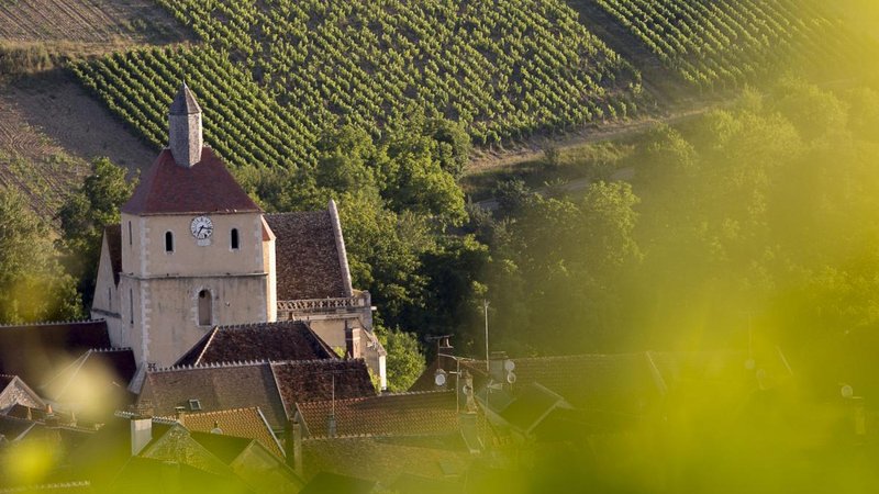 Visite virtuelle 360° Google Street View - Domaine Alexandre (Vignoble / Domaine) à Auxerre Yonne