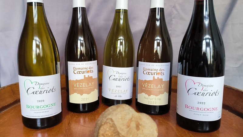 Visite virtuelle 360° Google Street View - Domaine Coeuriots (Vignoble / Domaine) à Auxerre Yonne