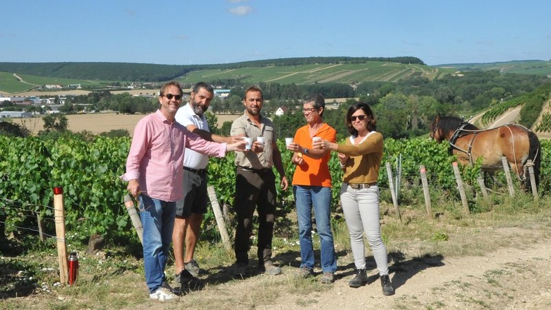 Visite virtuelle 360° Google Street View - Domaine Testut (Vignoble / Domaine) à Auxerre Yonne