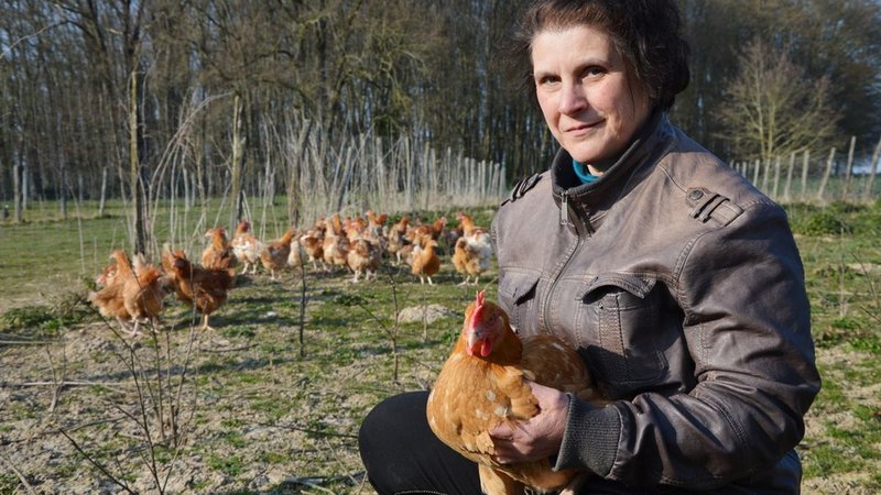 Visite virtuelle 360° Google Street View - Ferme des Bedins Perreux (Artisan / Producteur) à Auxerre Yonne