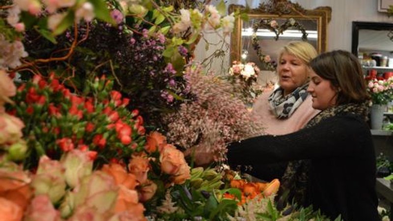 Visite virtuelle 360° Google Street View - Holland Fleurs (Commerce / Service) à Auxerre Yonne